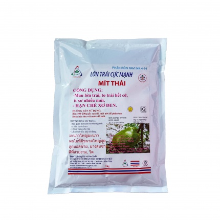 LỚN TRÁI - MÍT THÁI - HẠN CHẾ XƠ ĐEN
